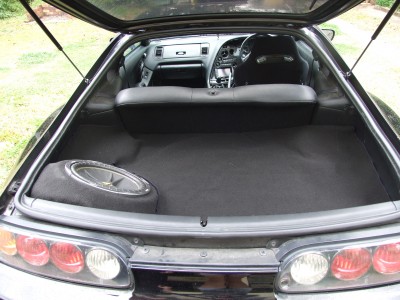 supra woofer.JPG